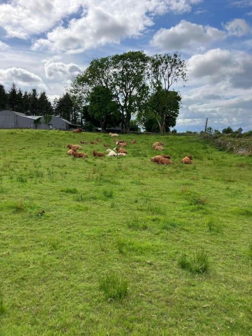 Whitethorn Cottage, Palmfield Ballaghaderreen ภายนอก รูปภาพ